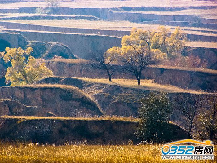 阳高杏泉峪生态旅游区图片